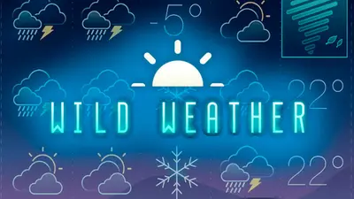 wild weater